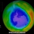 2020年南极臭氧空洞又大又深【臭氧层如何保护地球生物】