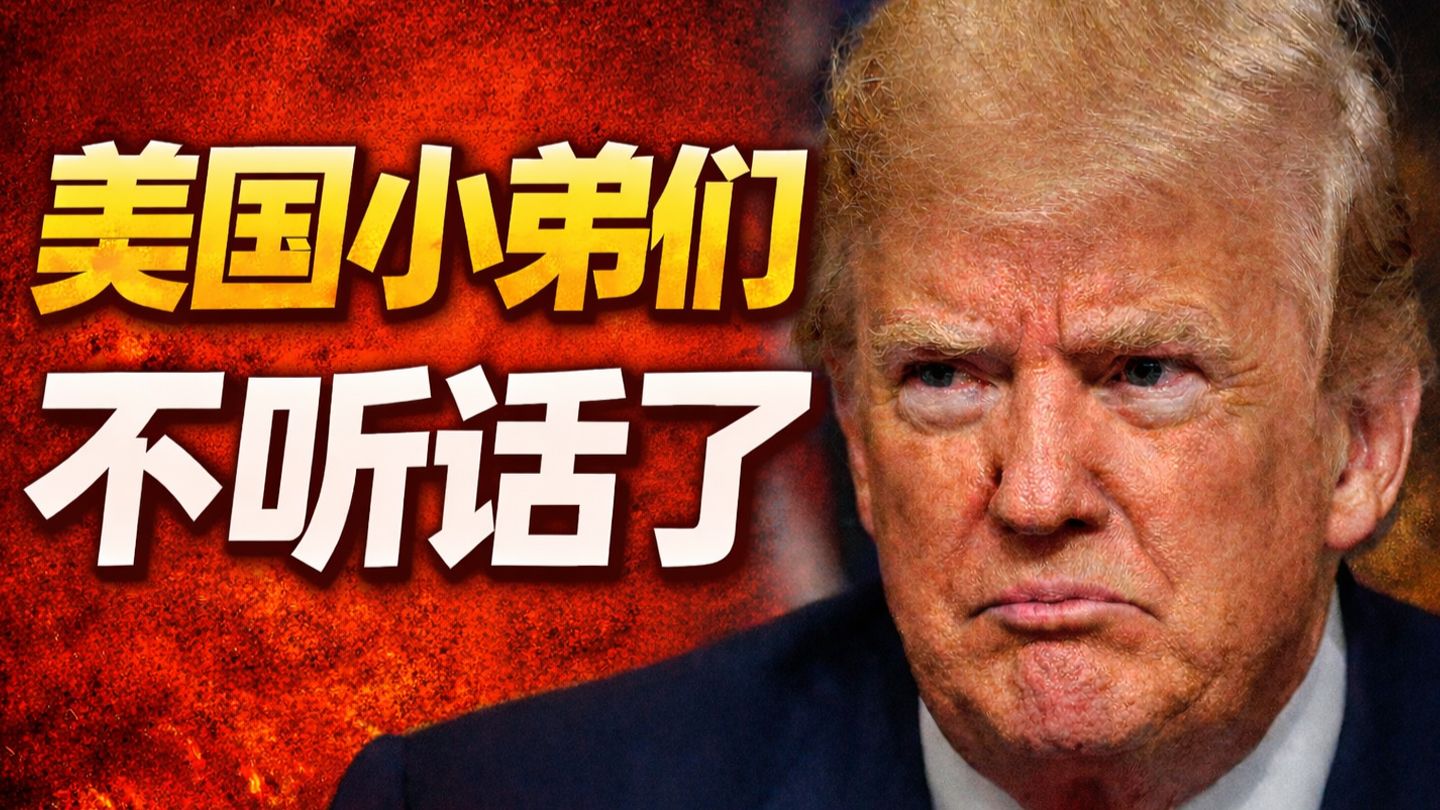 美国“铁杆小弟”集体变脸，西方联盟要崩塌了？