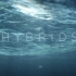 海底末日 Hybrids 杂种 （原版）Florian Brauch作品  豆瓣：8.2  IMDb