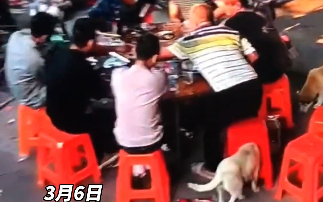 广西一男子吃饭时，凳子被狗狗意外偷走！回头看了一眼都没发现！