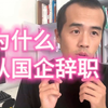 【程序员历险记15】我为什么从国企辞职