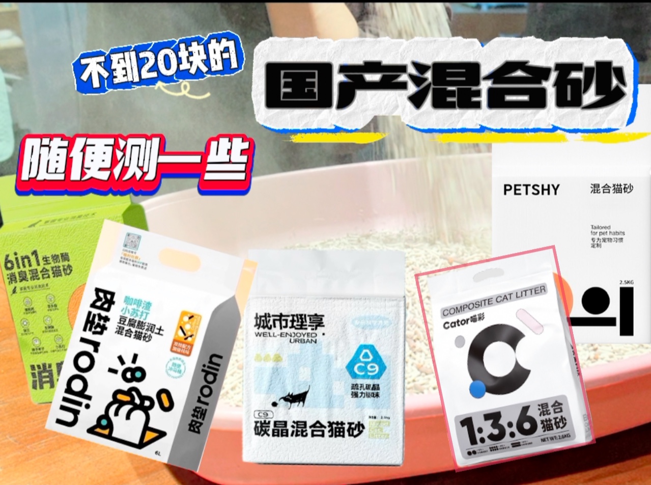 老板娘测评｜随便测了几款不到20块钱的混合猫砂（城市理享、Petshy、喵彩、肉垫、怡亲）久违的更新啊！我又回来啦！！！