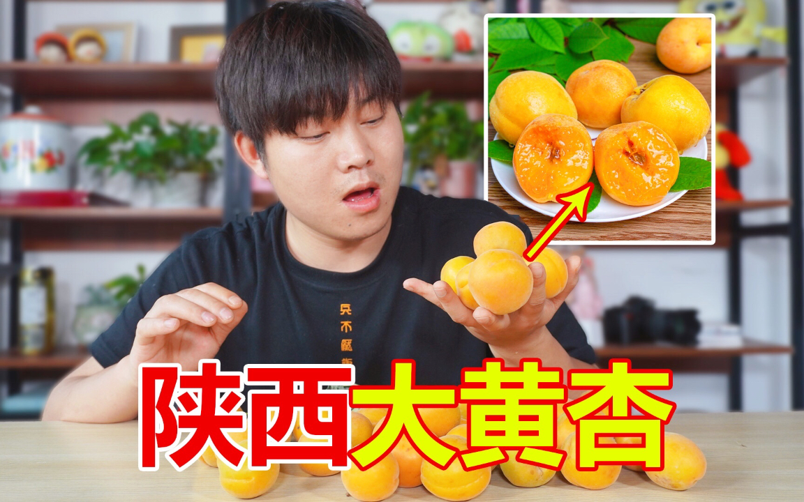 酸甜大黄杏能好吃吗？