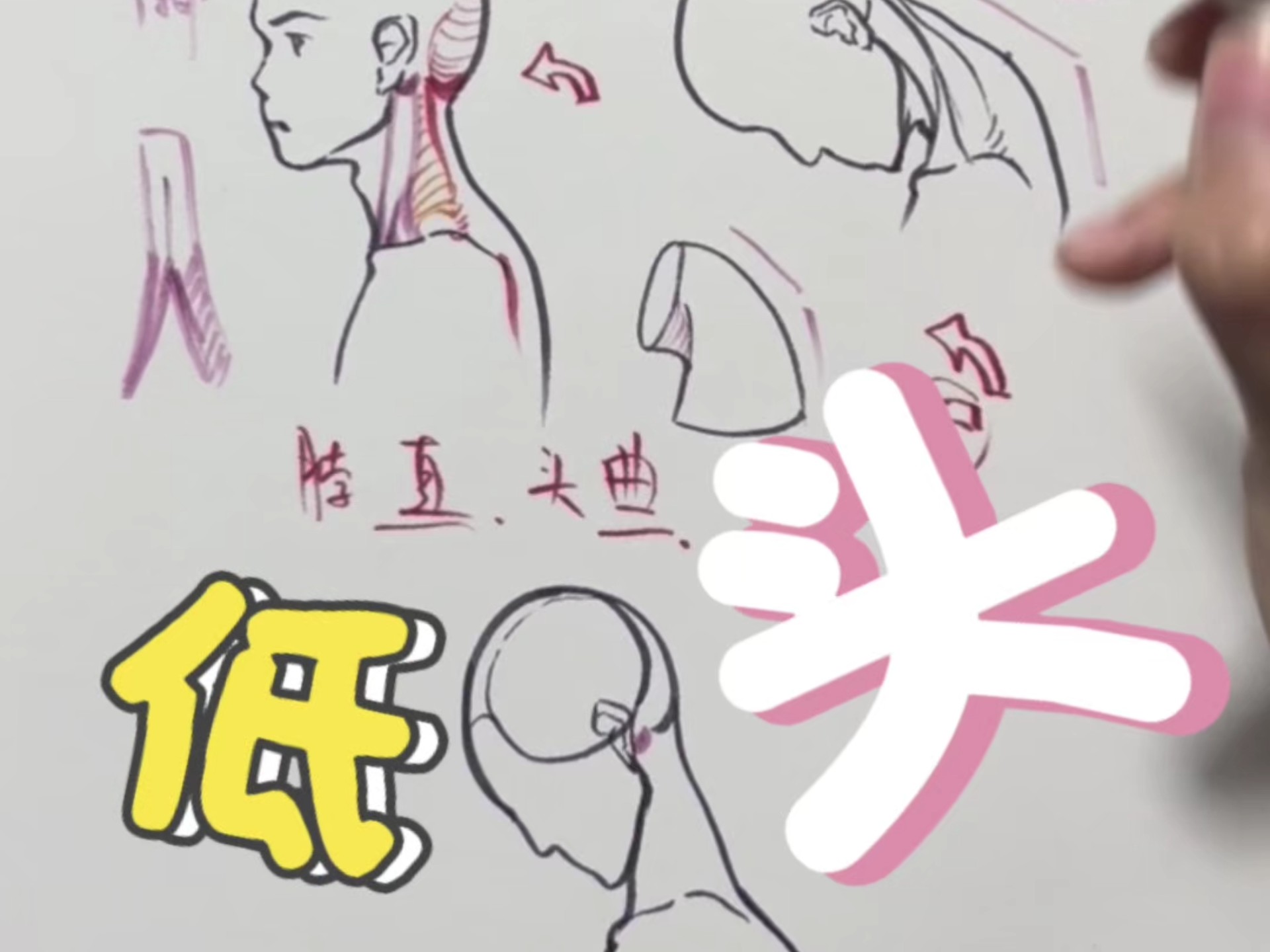 没想到画低头的脖子是这样吧！