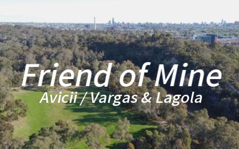 “坚强的挚友，愿你在那边一切都好。”—《Friend of Mine》