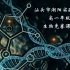 【生物竞赛课】遗传学第一章第1课时：孟德尔遗传定律及数据统计分析（20200212直播录屏）