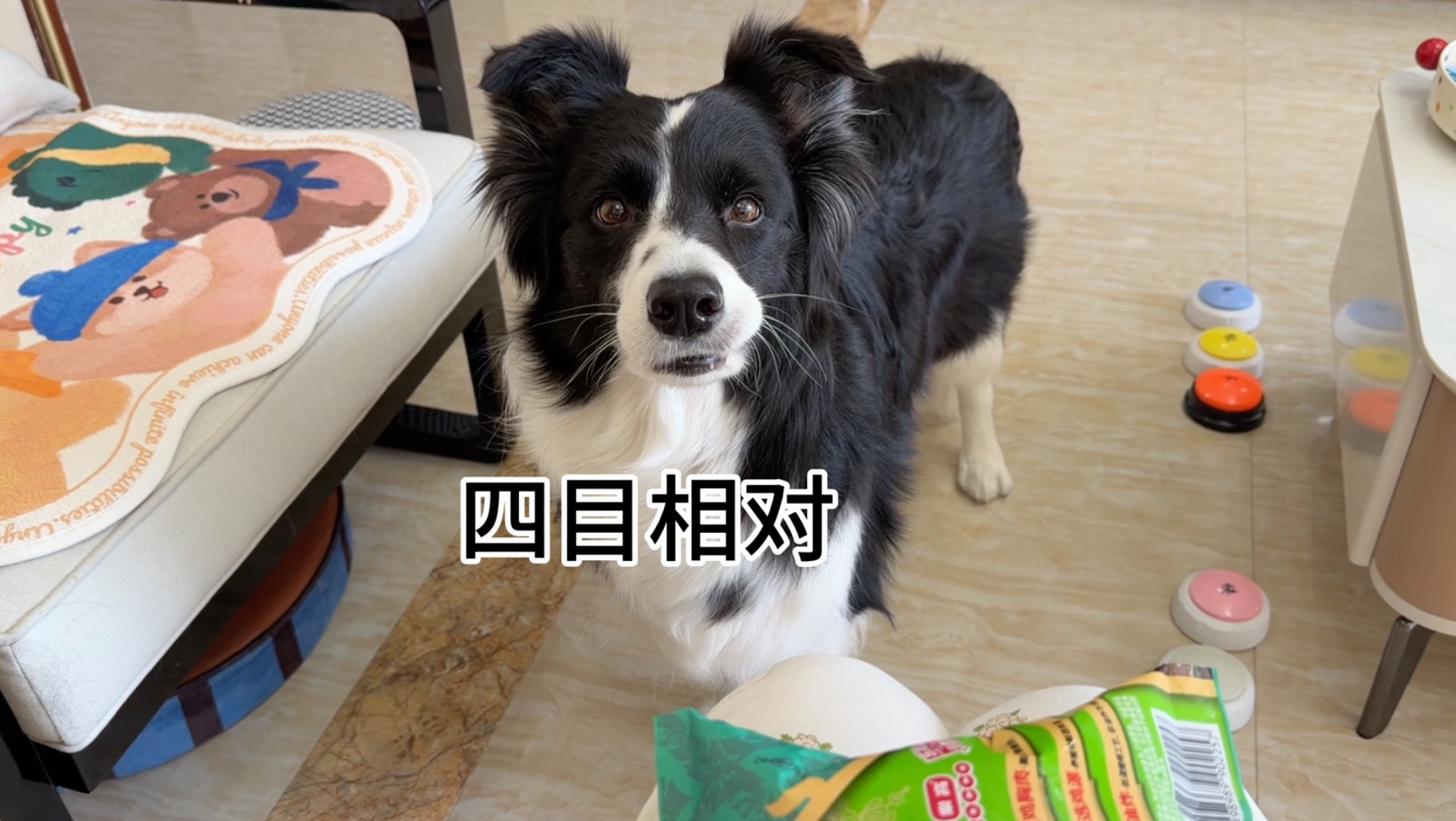 今天是身份互换