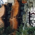 北京·万寿寺：历史与记忆，借由土地纠缠为一条无声之河