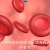 生物篇 科普小知识 血液中红细胞白细胞血小板它们之间起什么作用