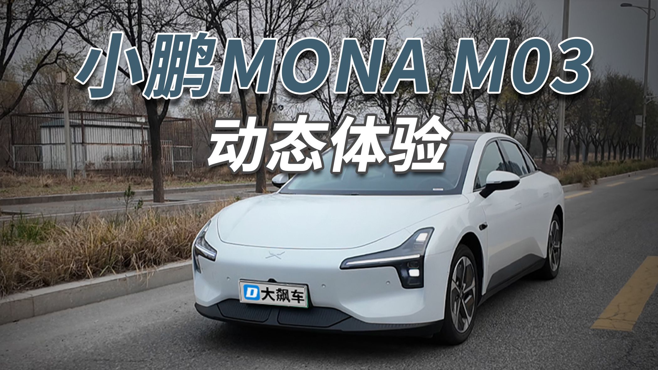 字幕下载