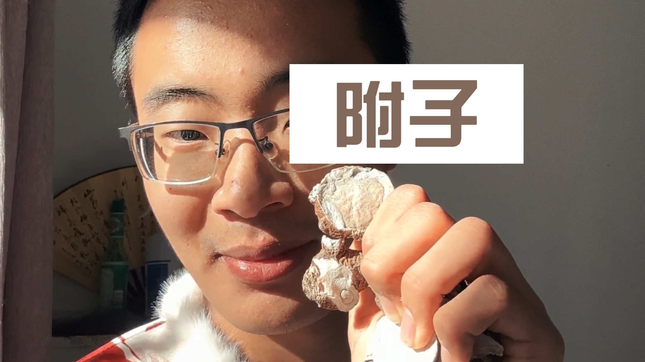 研究透伤寒论中的附子！历史辩证角度分析附子的演变！