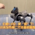 价格1.3万！更“狗”了！小米发布第二代铁蛋机器狗，能翻跟斗、会滑板，踹一脚不会倒。