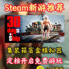 【免费开玩】steam全新集装箱盲盒模拟器《30 Days on Ship》即将开启免费试玩！_单机游戏热门视频