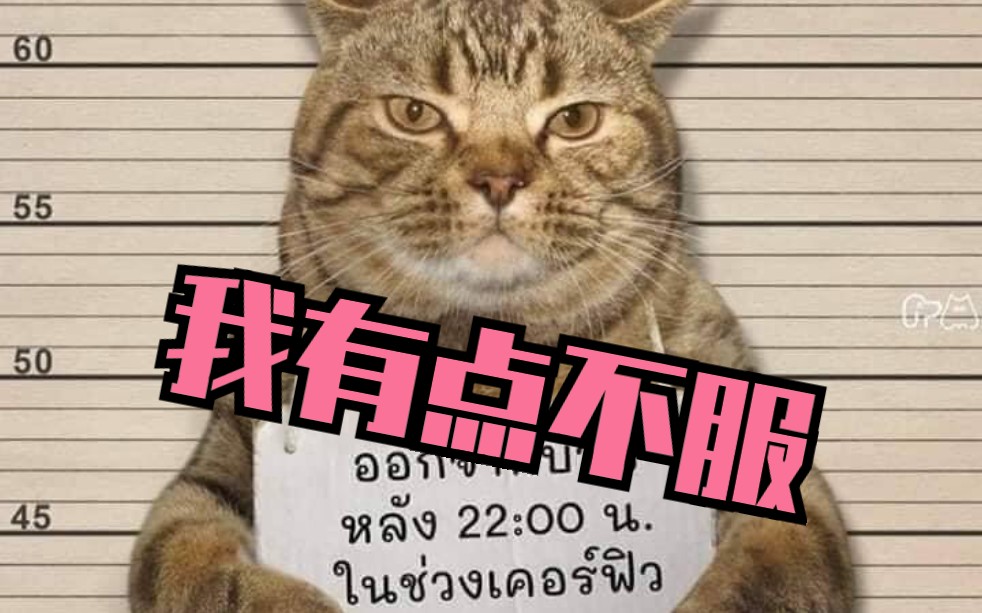 泰国警方逮捕了一只违反禁令外出的猫