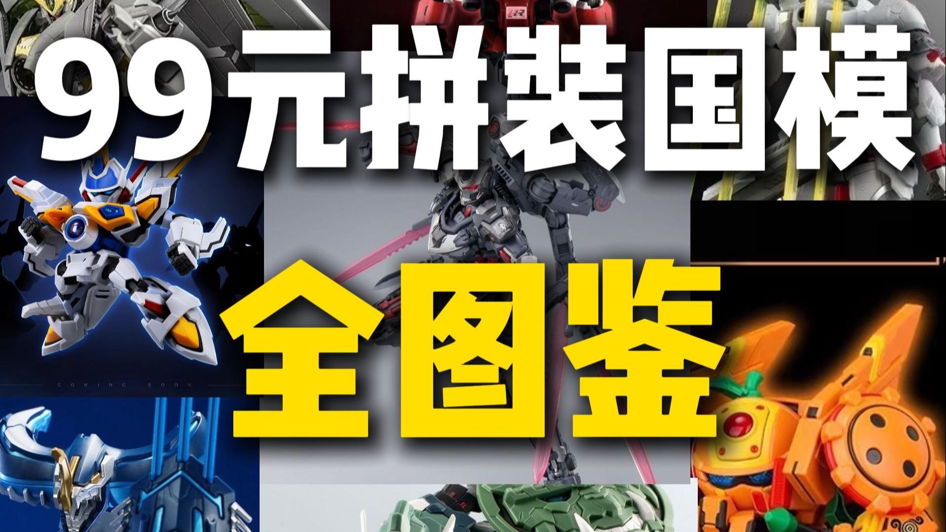 99元拼装国模全图鉴