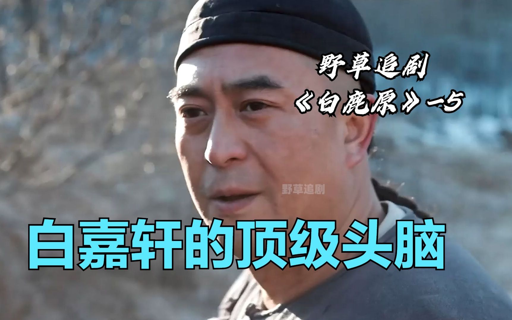 【野草】头等肥地换了一块荒地,没想到在地下挖出了活水,鹿子霖人都傻了哔哩哔哩bilibili