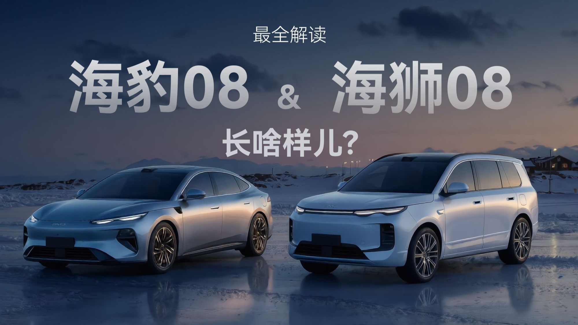 【全网最细】海豹08和海狮08长什么样子？