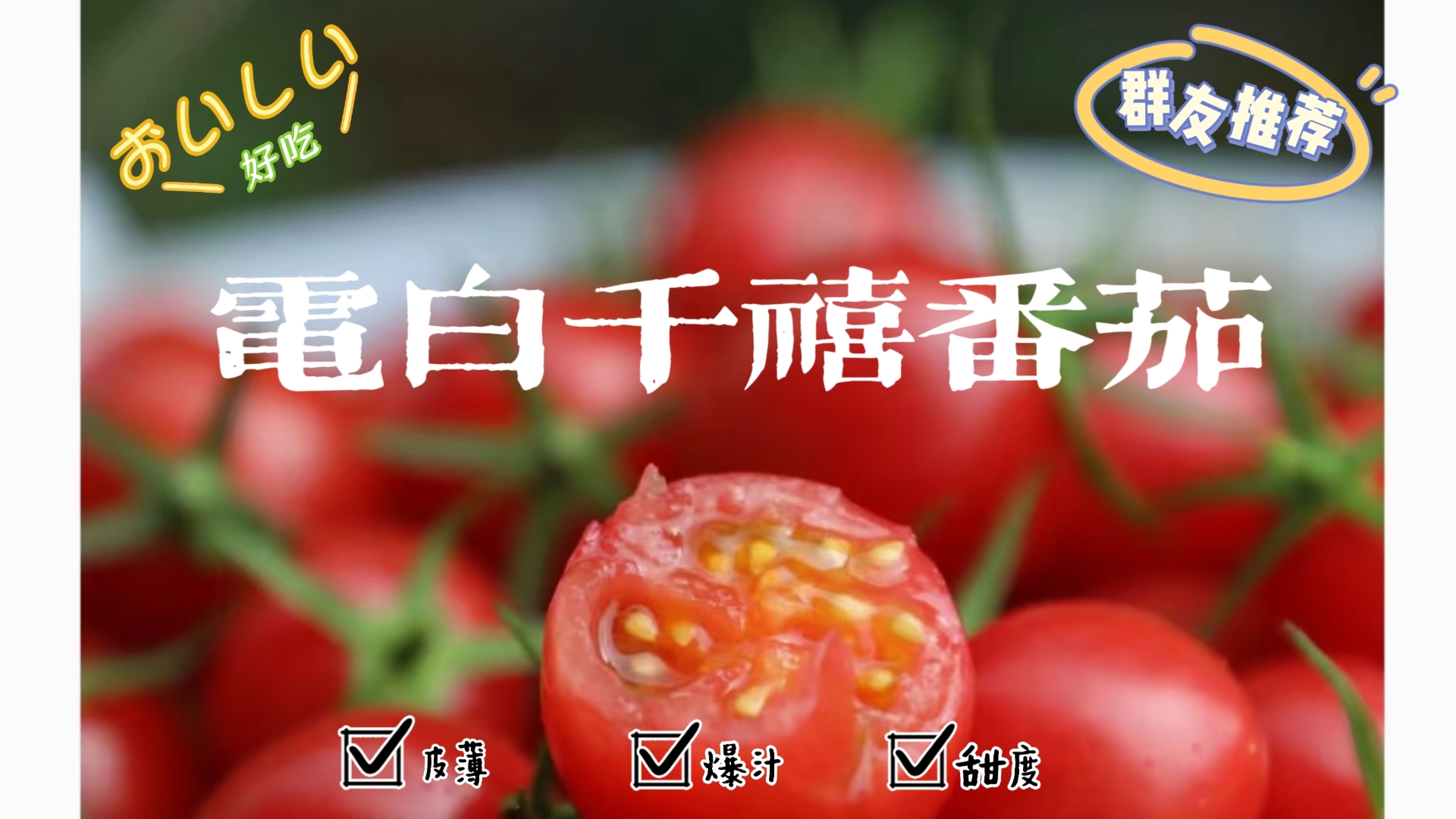 让“番茄厌恶者”真香的电白千禧小番茄～