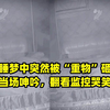 男子睡梦中突然被“重物”砸醒，疼得当场呻吟，翻看监控哭笑不得