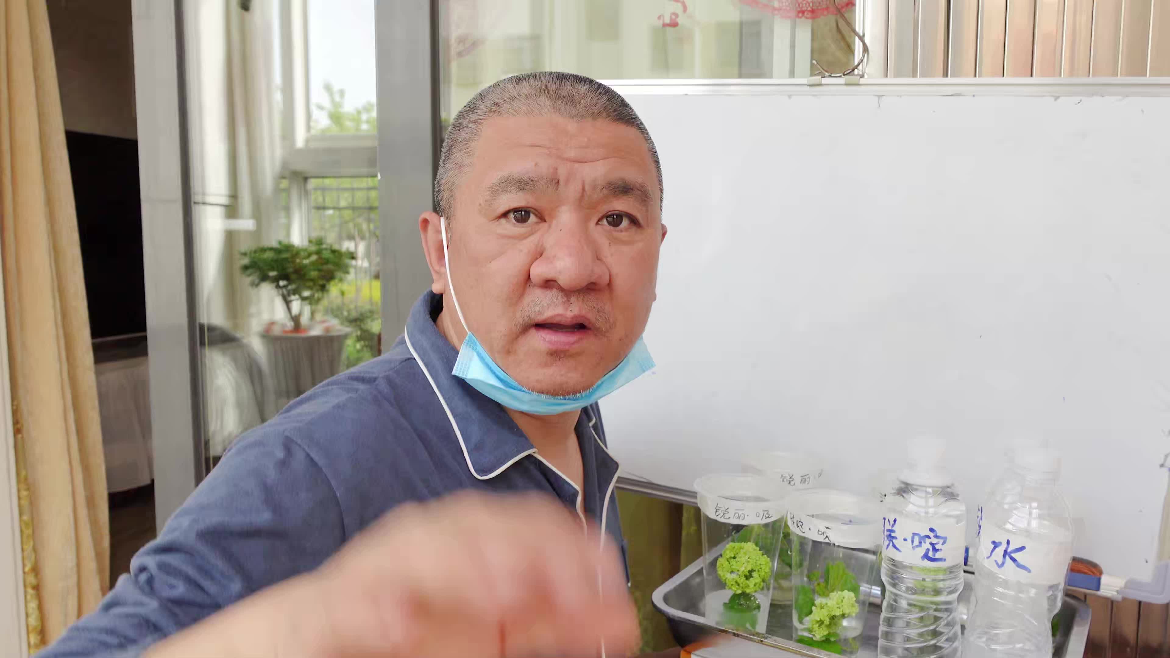 做个杀虫剂的对比实验，检验千百季锐丽与普通农药效果差异