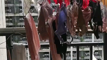 It's sunny, so I've been washing and drying.