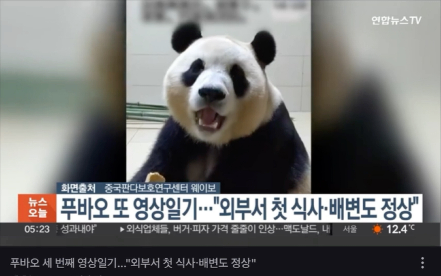 [4.27韩语新闻]福宝的第3支检疫视频公开