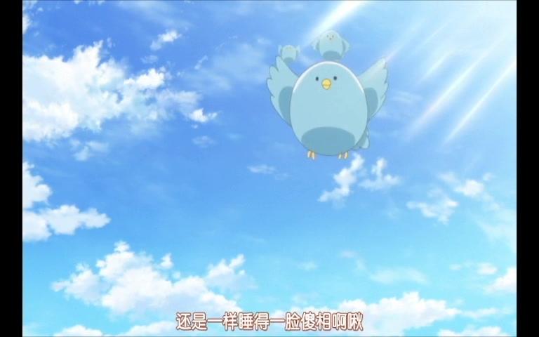 啾啾啾 三只贵人鸟的优雅日常