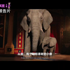 《独一无二的伊万》在线观看完整版