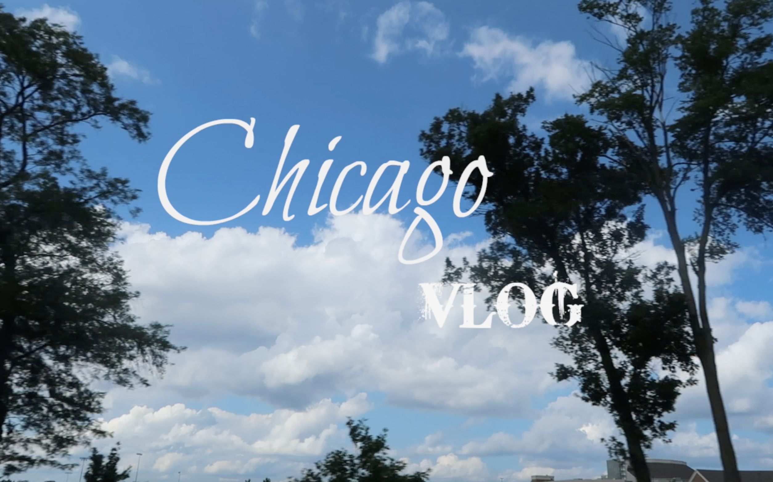 【大杯】chicago vlog | 跟大杯去芝加哥