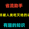 盘点被人类吃灭绝的动物，从50亿到1只不剩，仅用了百年时间