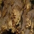 【金矿】“金”喜大发现，山东莱州新增金矿量近200吨！！！