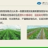 24草莓的栽培模式《常见浆果的新型栽培模式及管理》于华平