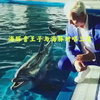 【Vitas】海豚音王子和真海豚对唱三首