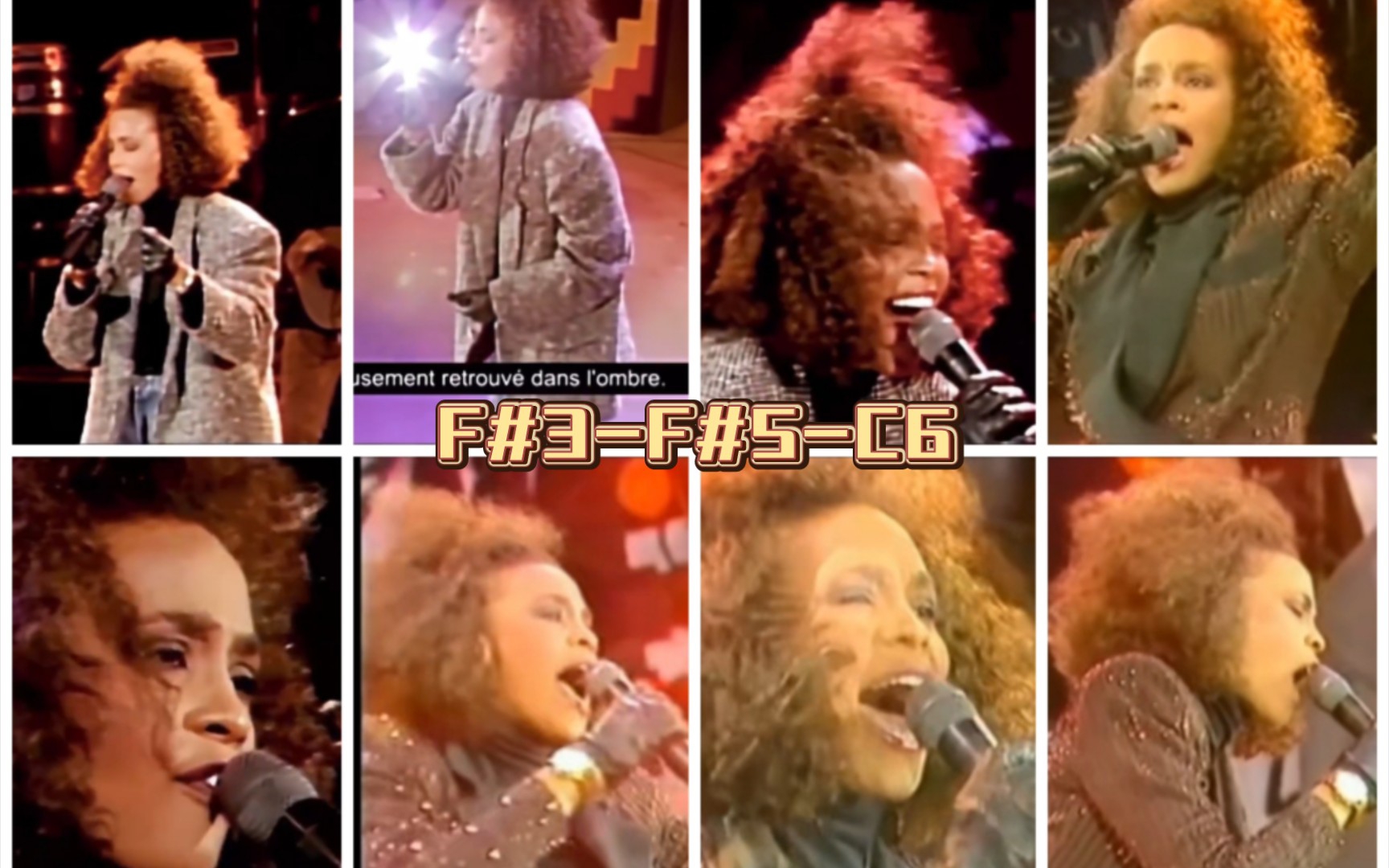 【排山倒海的声音】【全场超高质量】【F#3-F#5-C6】Whitney Houston 1988 曼德拉庆生超全音域合集