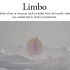 中央美术学院毕业设计 | 实验短片《Limbo/边境》