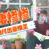 【回忆向】薰衣草 小童cut
