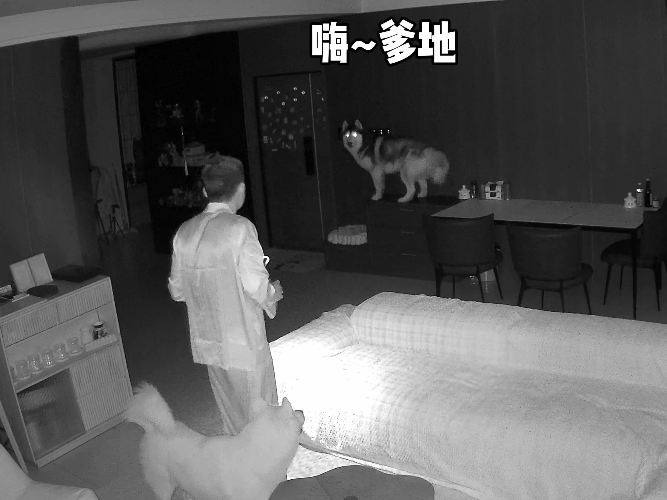 吓了一跳又一跳