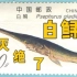 7米长的长江大鱼，灭绝了……