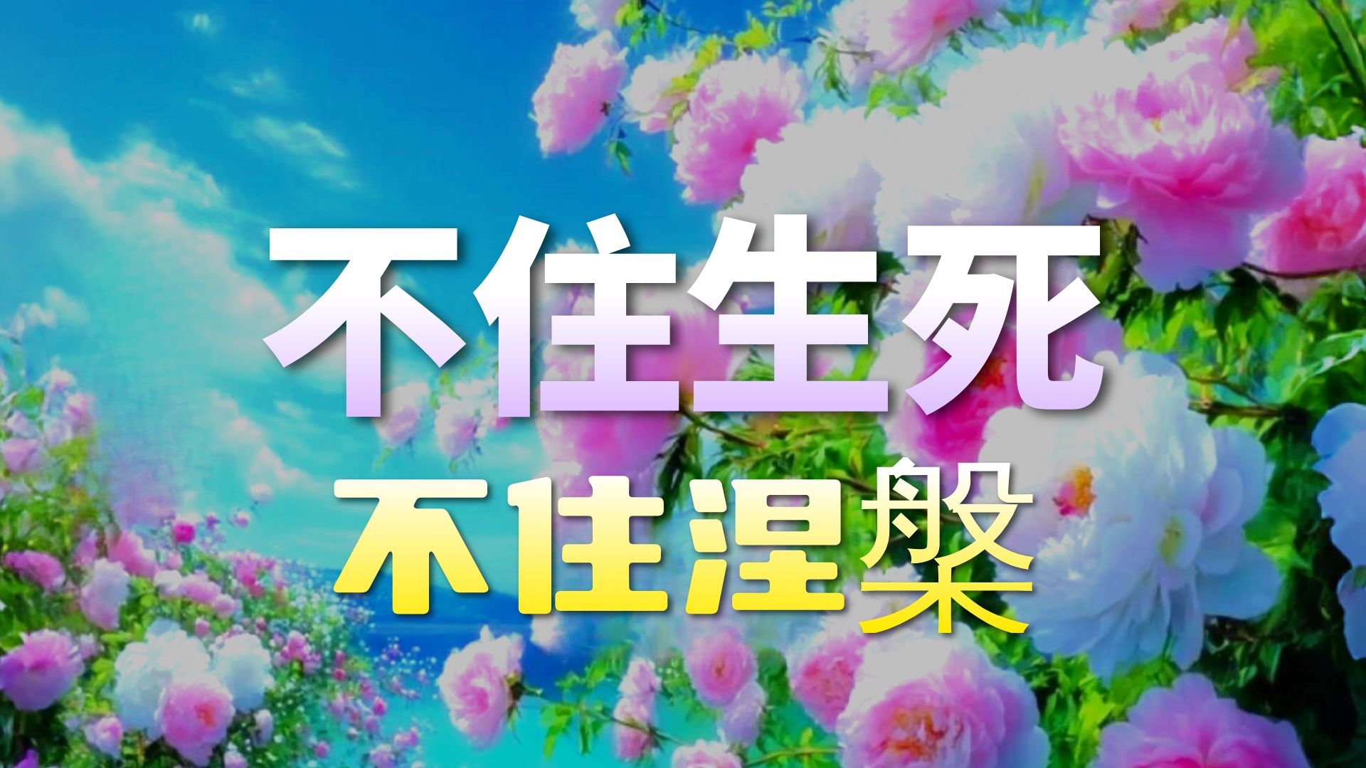 体佛法师开示：不住生死不住涅槃