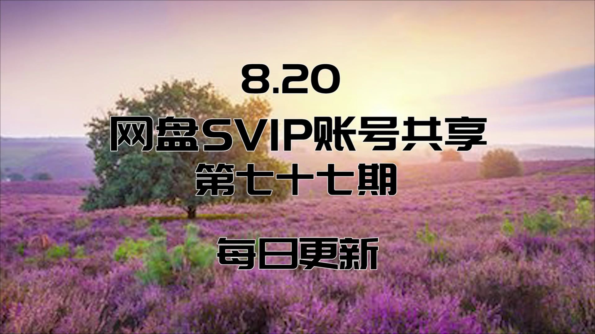 8.20【SVIP】网盘SVIP账号共享 每日更新哔哩哔哩bilibili