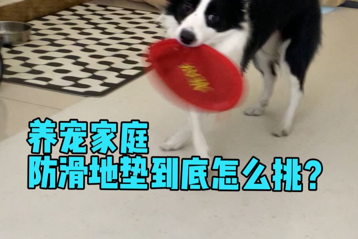 养宠家庭防滑地垫大盘点！