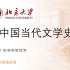 【汉语言文学】 《中国当代文学史 陈晓明(北京大学)》（1949年~2009年）（历史） YW-GJJJPK 国家级精品