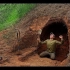 【Alex】建造洞穴，原始庇护所，舒适温馨的地下住宅