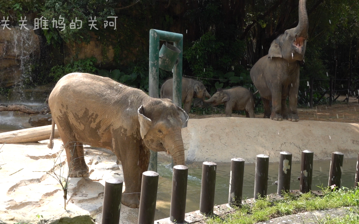 白骨青灰皆我八犬传苍x犬阪毛野