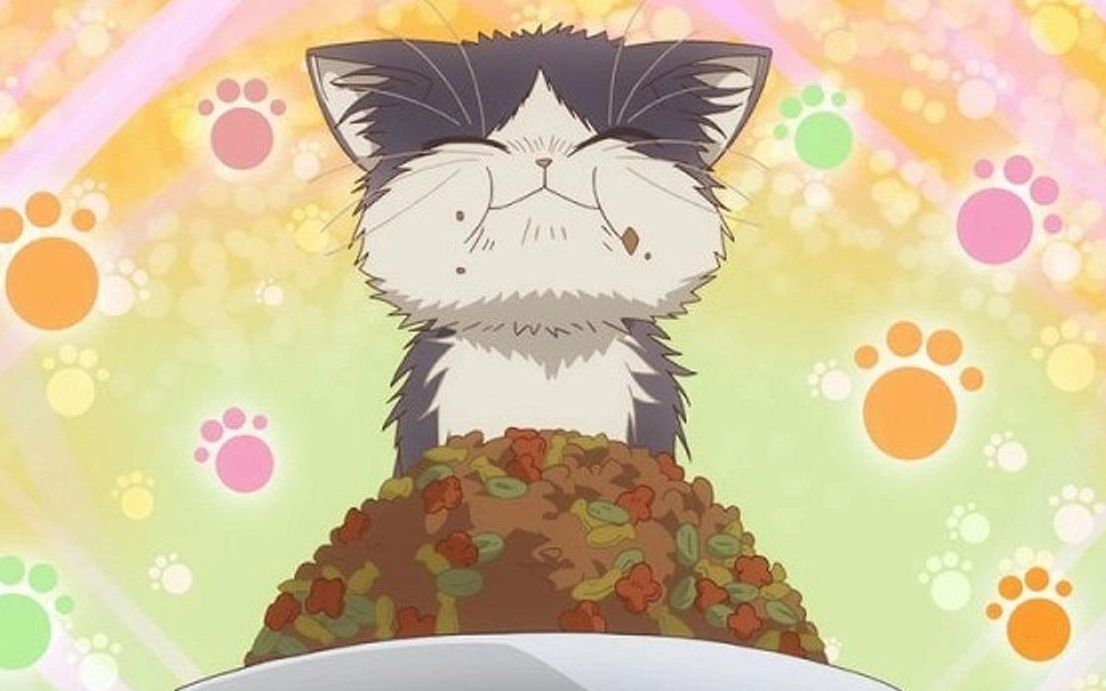 【薰碳子翻唱】同居人是猫-君のとなり わたしの场所