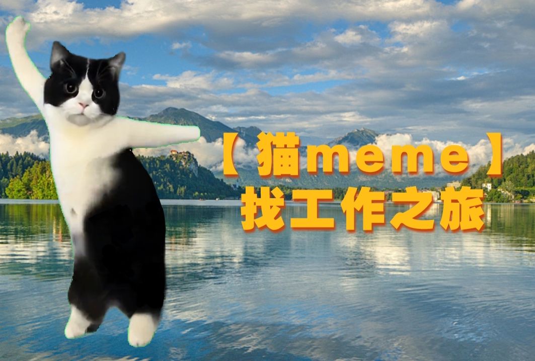 【猫meme】找工作之旅