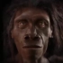 一分钟演示人脸600万年来的变化