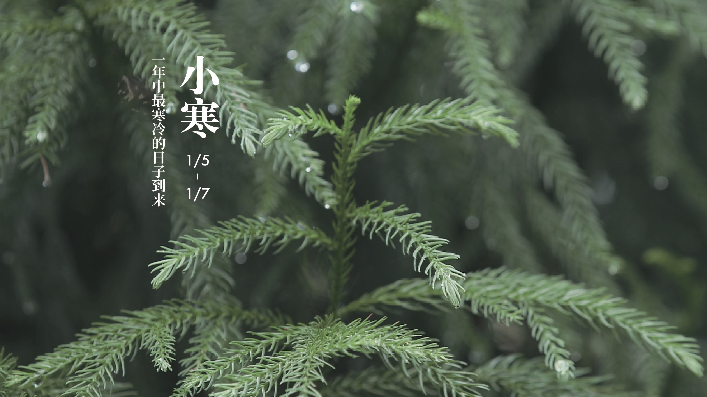 【纪录片】《四季中国》第二十三集《小寒》