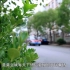 美食纪录片《城市的味道》青岛篇-Qingdao