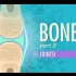 【10分钟速成课：解剖与生理】第20集 - 骨 part 2 关节